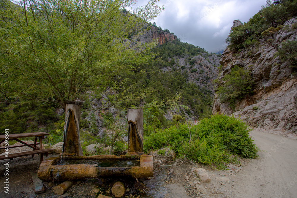 Fototapeta premium Travel through the Goyniuk Canyon. Beautiful places in Turkey. Mountain river and rocks in Kemer.
