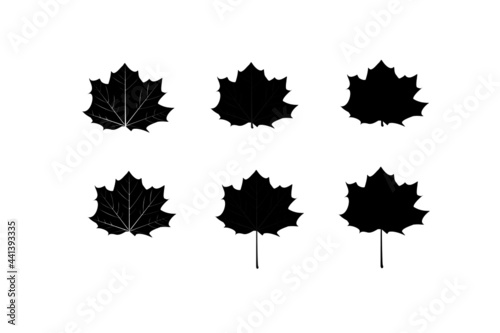 silhouette maple leaves icon different design on white background.maple leaf sign,flat style.concept for sign, symbol, icon ect