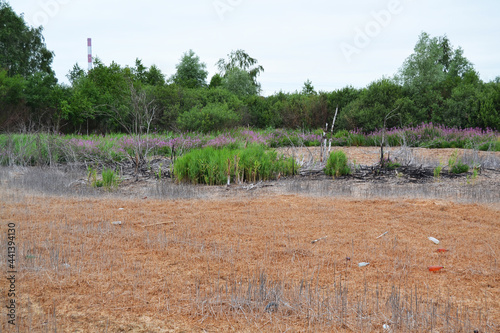 Lifeless land near the Chemical Plant in Gomel, Belarus
