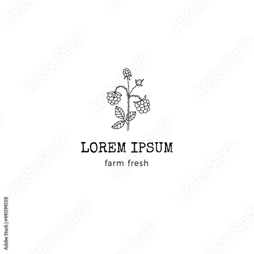 Vector hand drawn logo template with simple blackberry illustration. Summer fruits.