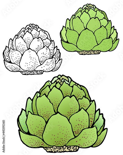 illustration of an artichoke with variations