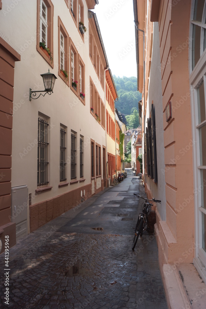 An old town and its alleys and houses