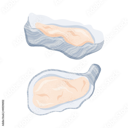 Fresh tasty seafood clams, oysters in seashells vector hand drawn illustration isolated on white background.