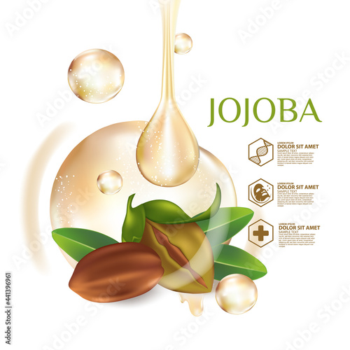 Jojoba natural skin care cosmetic Vector illustration