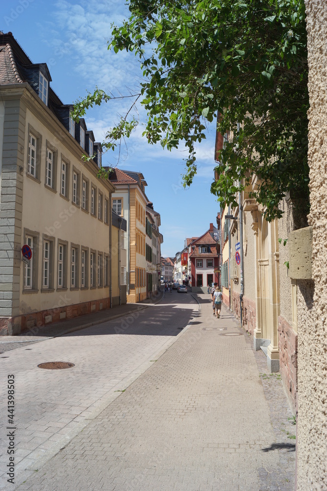 An old town and its alleys and houses
