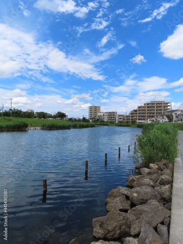 東京の空と水辺