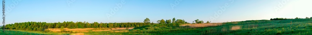 Spring forest and field on a background of blue sky