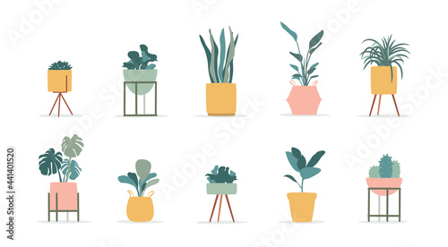 House plant, Minimal plant in modern plant pot vector illustration. 