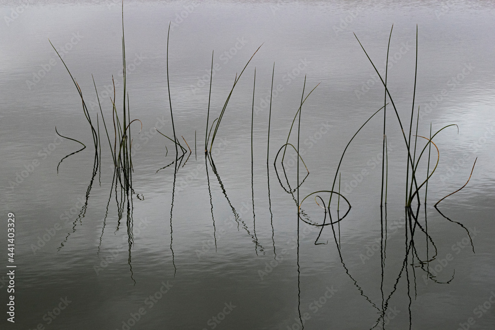 writing in water writing in water