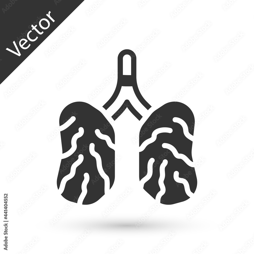 Fototapeta premium Grey Disease lungs icon isolated on white background. Vector