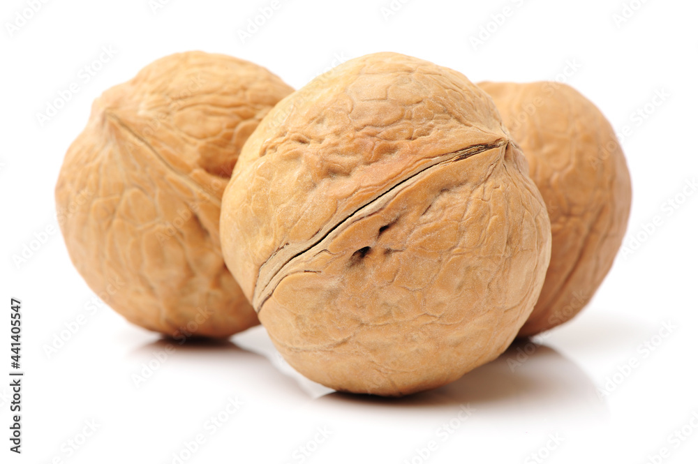 walnuts on a white background walnuts on a white background