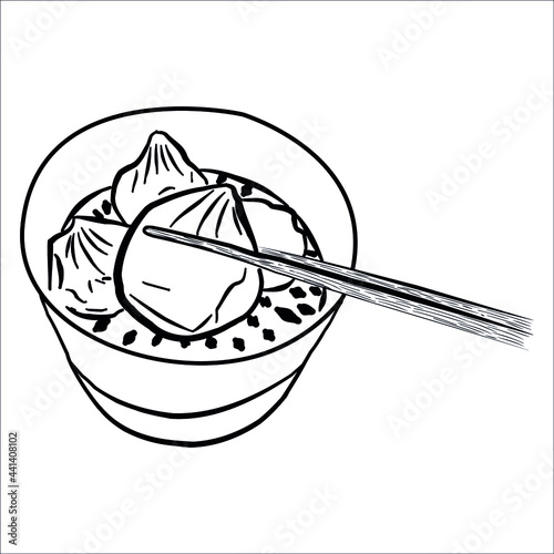 Chinese dumplings. Momo. Wontons. gyoza, Mandu. Dim sum. Har gow. Shumai. Xiaolongbao. soup dumpling. asian food. Steamed food. chopstick.