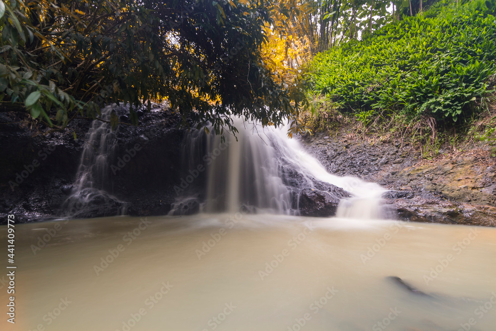 Fototapeta premium waterfall in the forest