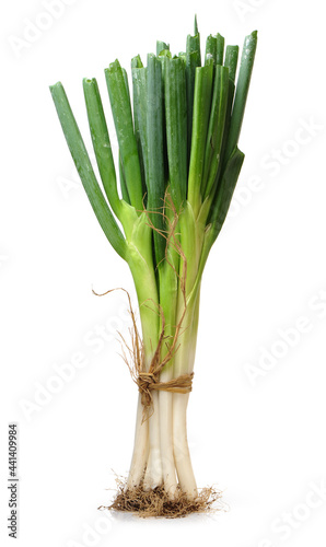 Green Onion on white background