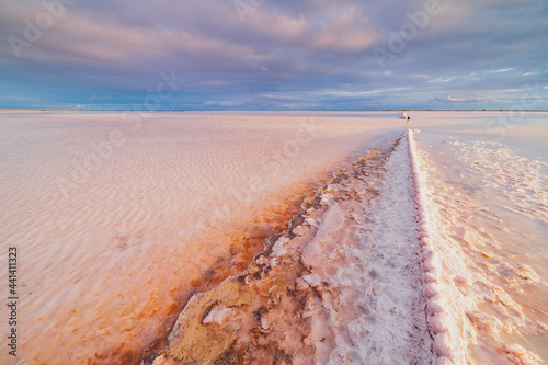 a crusty corrugated fence line running off into the distance over a pink salt lake