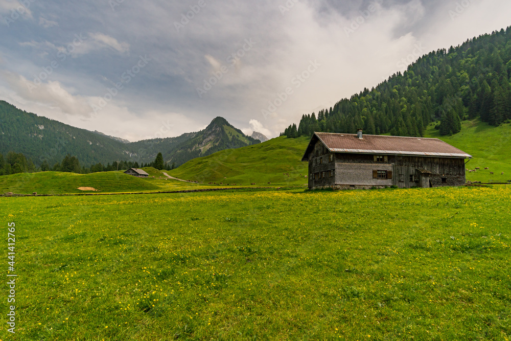 Comfortable circular hike near Schönenbach in Vorarlberg, Austria Comfortable circular hike near Schönenbach in Vorarlberg, Austria