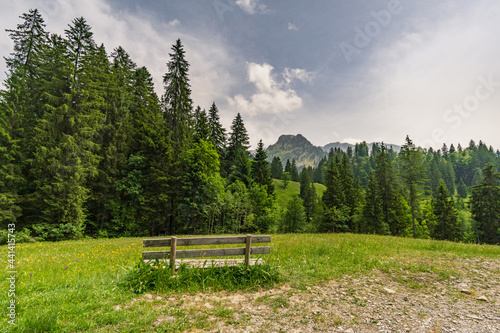 Comfortable circular hike near Schönenbach in Vorarlberg, Austria