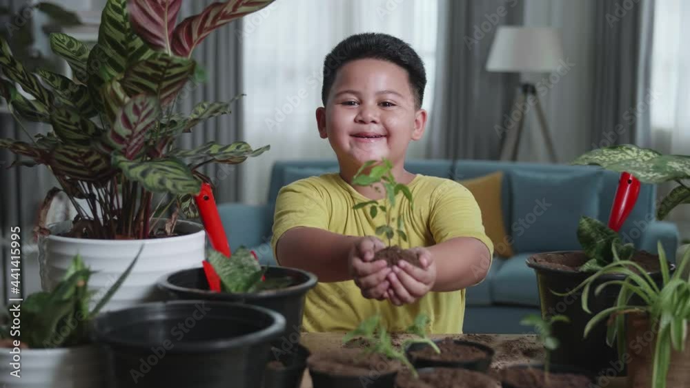Asian Little Boy Holding Green Seedling On Soil
Asian Little Boy Holding Green Seedling On Soil