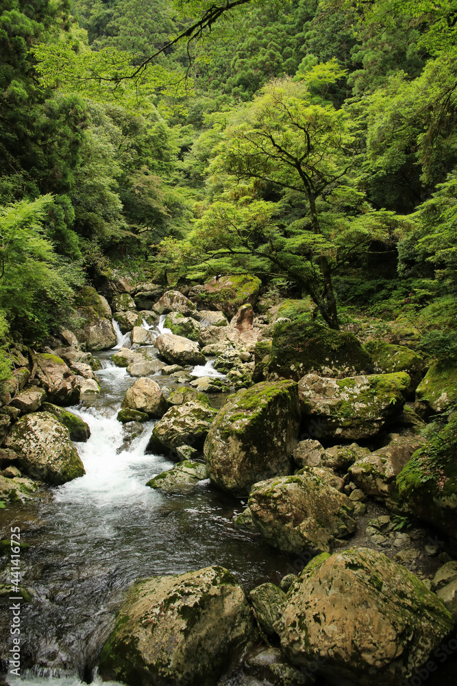 徳島県海陽町　轟九十九滝　遊歩道からの風景