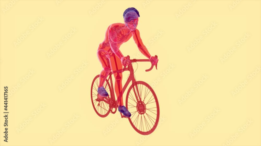 4K anatomy of a X-ray cyclist riding 4K anatomy of a X-ray cyclist riding