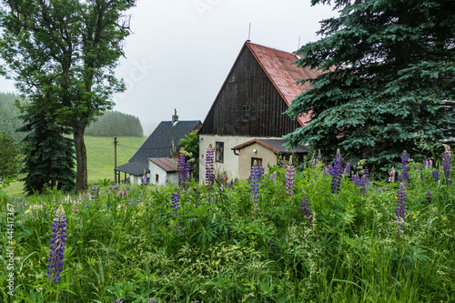 old abandoned house in czech hillside