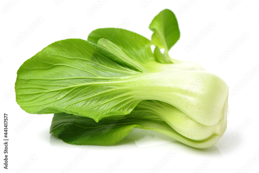 Pok Choi on white background Pok Choi on white background