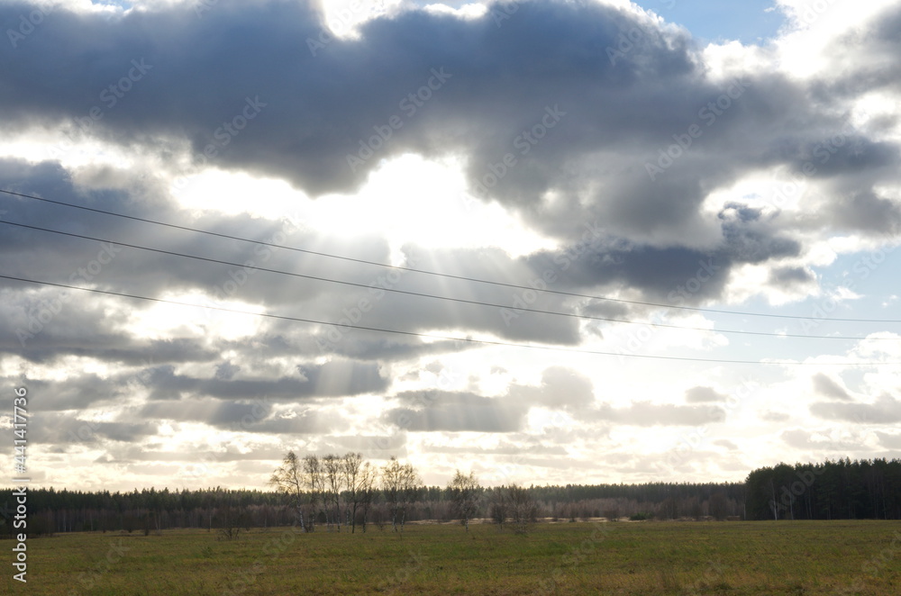 Obraz premium nature in the autumn season