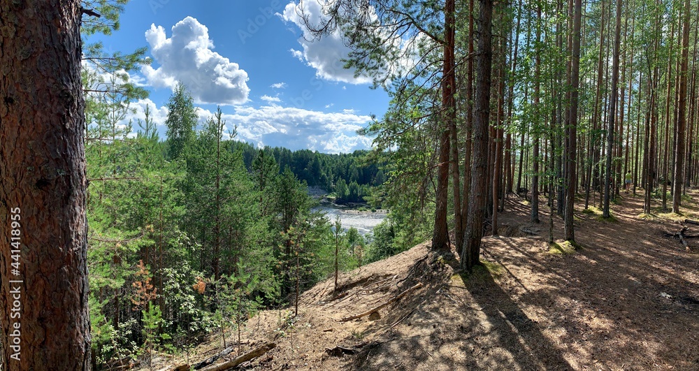 Εκτύπωση καμβά In the pine forest above the river bank a sultry summer day