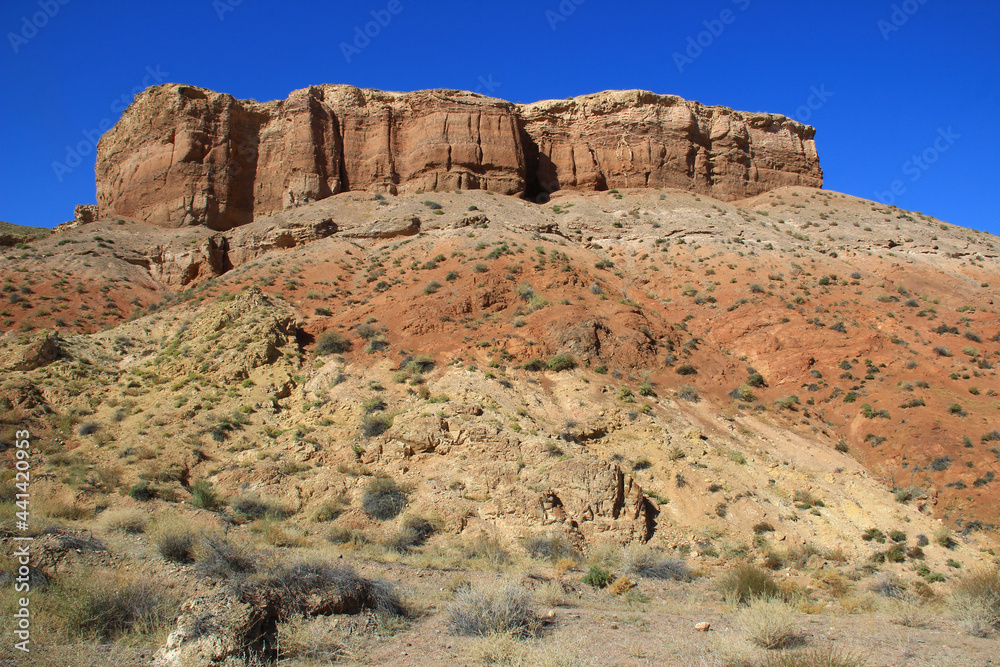 A bastion of the Charyn canyon with relief walls rises on a high white-red sandy-clay rock, small bushes grow on the slope of the mountain, clear sky, summer, sunny