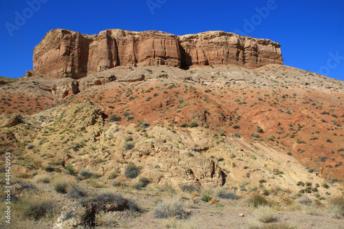 A bastion of the Charyn canyon with relief walls rises on a high white-red sandy-clay rock  small bushes grow on the slope of the mountain  clear sky  summer  sunny