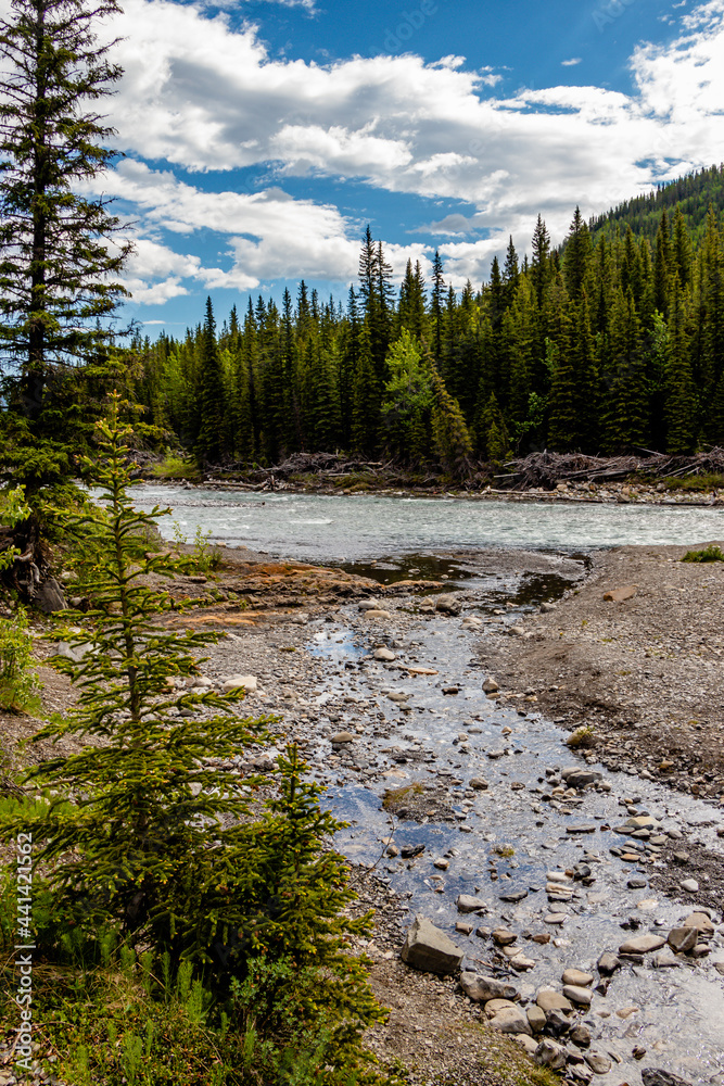 Sheep River flowing fast in early spring. Sheep River PP, Alberta, Canada Sheep River flowing fast in early spring. Sheep River PP, Alberta, Canada