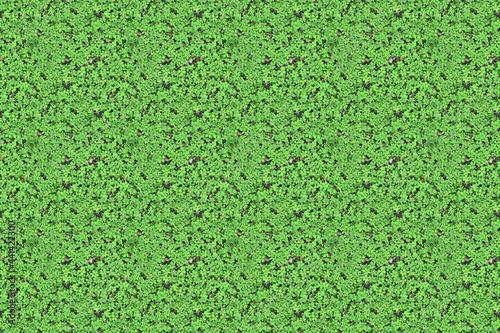 green grass plant pattern texture
