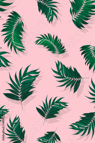 Palm leaves pattern background