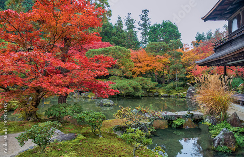 Foliage landscape in Kyoto  Japan.