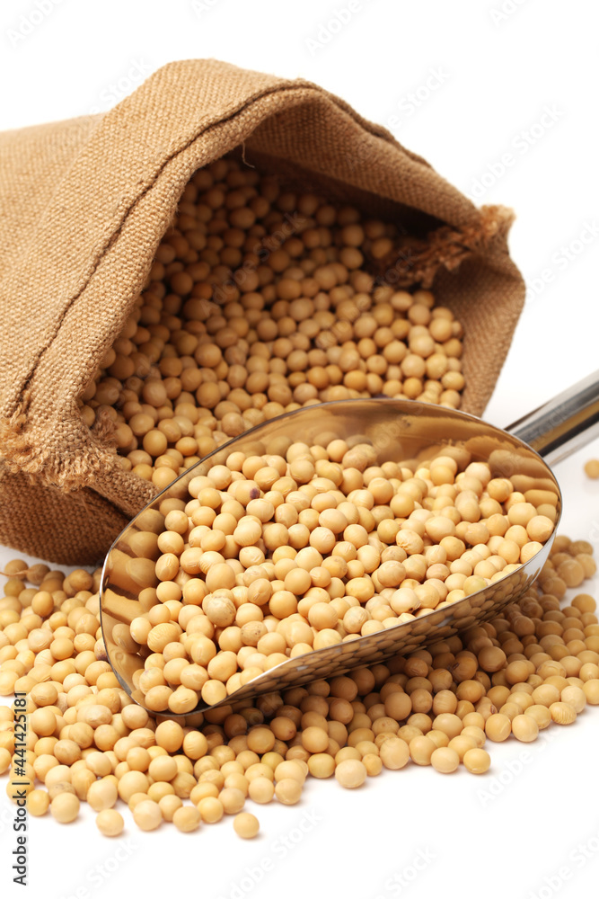 Fototapeta premium gold soybean isolated on white background 