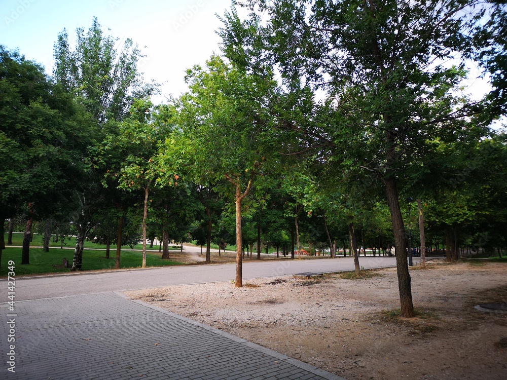 Park in Mostoles south madrid area