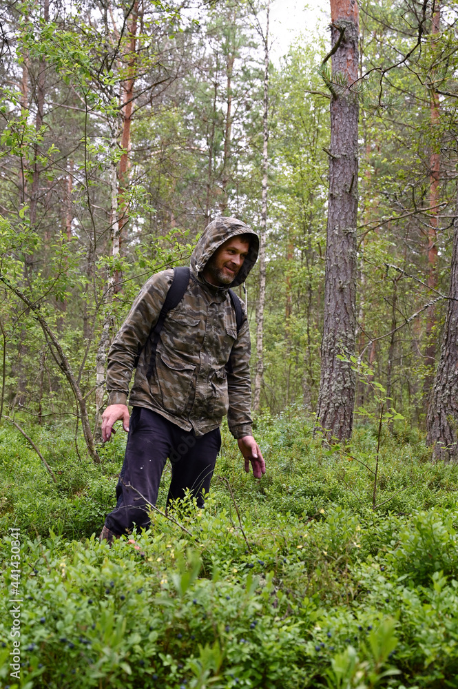 man in camouflage clothing with a backpack in the woods. A forester walks along a path through a dense forest