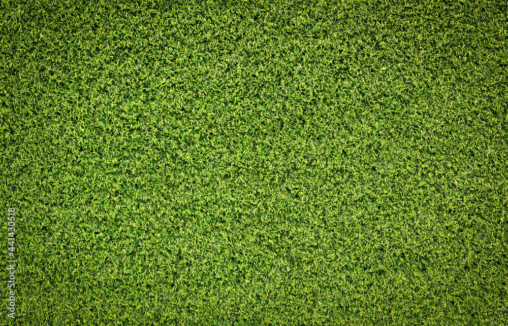 Obraz premium top view green grass texture for background