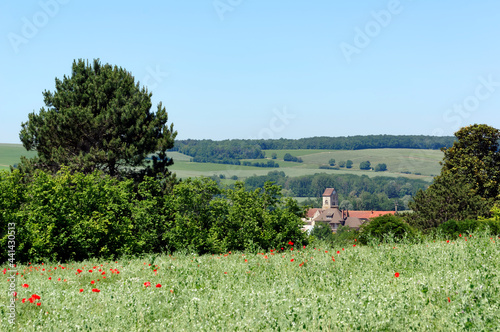 Fototapeta Naklejka Na Ścianę i Meble -  Marfaux village in the Reims mountain regional nature park