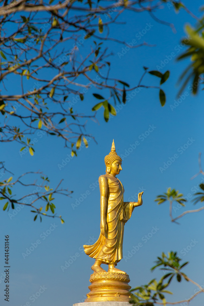 Fototapeta premium The standing buddha with blue sky and cloud,Copy space