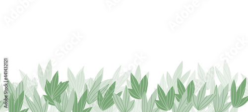 Floral web banner with drawn color exotic leaves. Nature concept design. Modern floral compositions with summer branches. Vector illustration on the theme of ecology, natura, environment