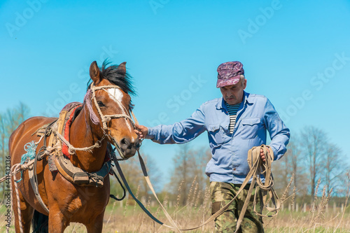 Man farmer holds the bridle of a horse harnessed to work on a sunny day. Concept of working in the field with a horse photo