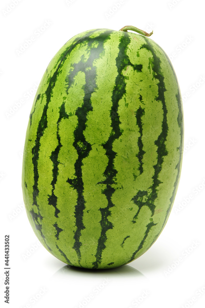 watermelon on a white background watermelon on a white background