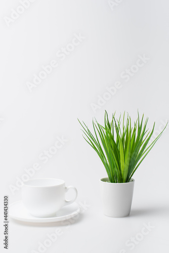 green plant near empty cup and saucer isolated on white