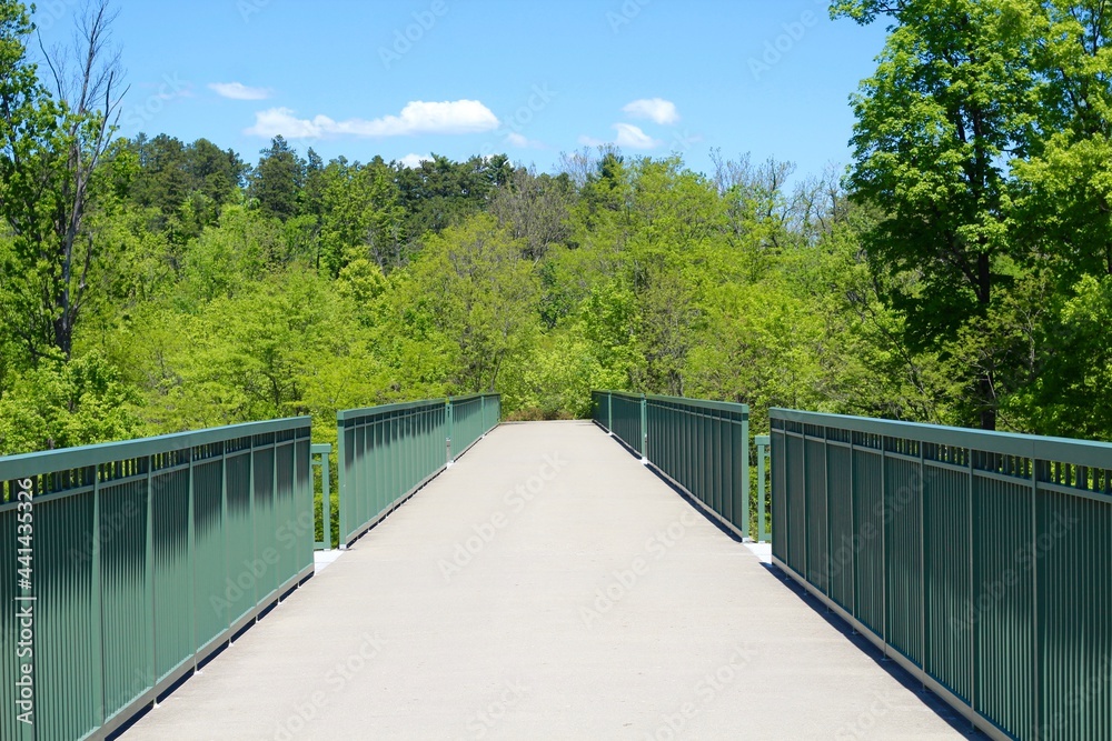 The empty footbridge on the path in the park.