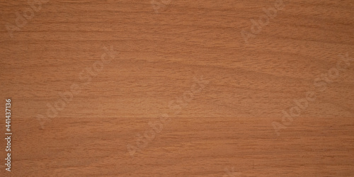Brown Wood Texture. High-resolution background. For design and 3D graphics