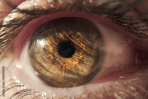 Brown eye of unrecognizable person