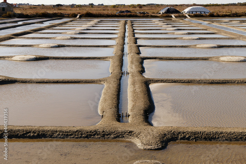 Marais salant sur l'île de Noirmoutier