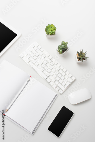 top view of gadgets with blank screen near small plants, keyboard and notebook with pencil on white © LIGHTFIELD STUDIOS