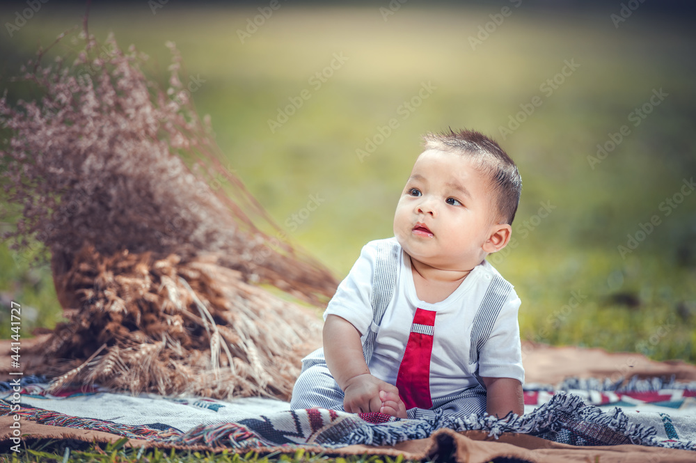 A little boy is sitting on a cloth spread on the grass in the park. 6 month old boy. A little boy is sitting on a cloth spread on the grass in the park. 6 month old boy.